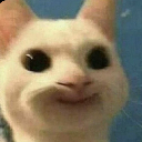 :emoji_16: