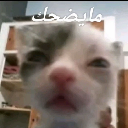 :emoji_24: