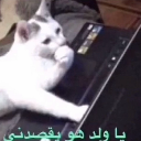 :emoji_24: