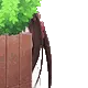 EmmaPeek