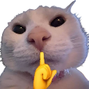 :emoji_25: