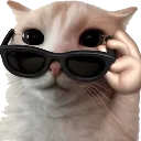 coolcat