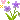 purple_purpleflower