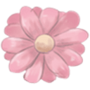 :PinkDaisy: