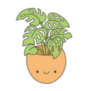 :Monstera: