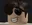 GoodFace