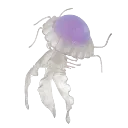 02purp_jellyfish
