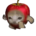 red_applecat