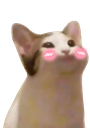 catshy custom emote | allure