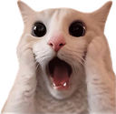 catshook Discord Emoji - allure