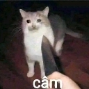 :emoji_41: