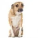 emoji_307