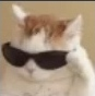 :aw_cool_billa: