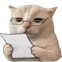 catnoted