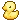kissey_duckie