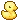 kissey_duckie_2