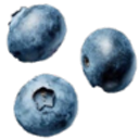05_blueberries