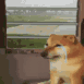 :eh_depression: