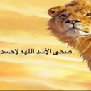 Lion looking over the edge of the frame with Arabic text overlaid on a golden background.