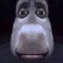 Donkey