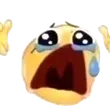 nooooooooooo_cry