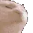 cat_head