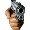 gun