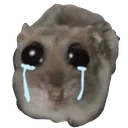 emoji_23