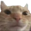 ohok