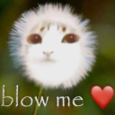 blowcat Discord Emoji | 𓆣 Syf's Place 𓆣