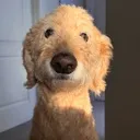 emoji_25