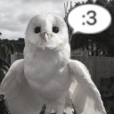 :3_: