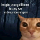 :angel: