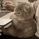 A brown cat with a grumpy expression sits in front of a laptop while a human hand types on the keyboard.