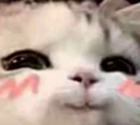 uwukedi