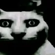 1_
