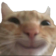 :1105happycat:
