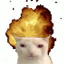 catexplode