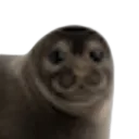 3seal