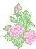 pink_flowers