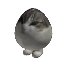 eggcat