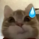 ehh