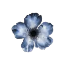 emoji_28