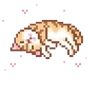 kittyy