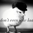 A fluffy yellow chick wearing a black flat cap with the text don't even joke lad overlaid in white.