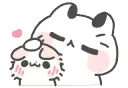 cat_pat
