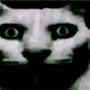 :35dc513c89834265a385ed784c01f4c2: