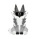 Raccoonkit
