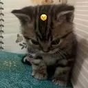 grr