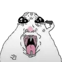 HamsterCrashout